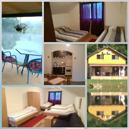 Vila Mali Dol Holiday home *
